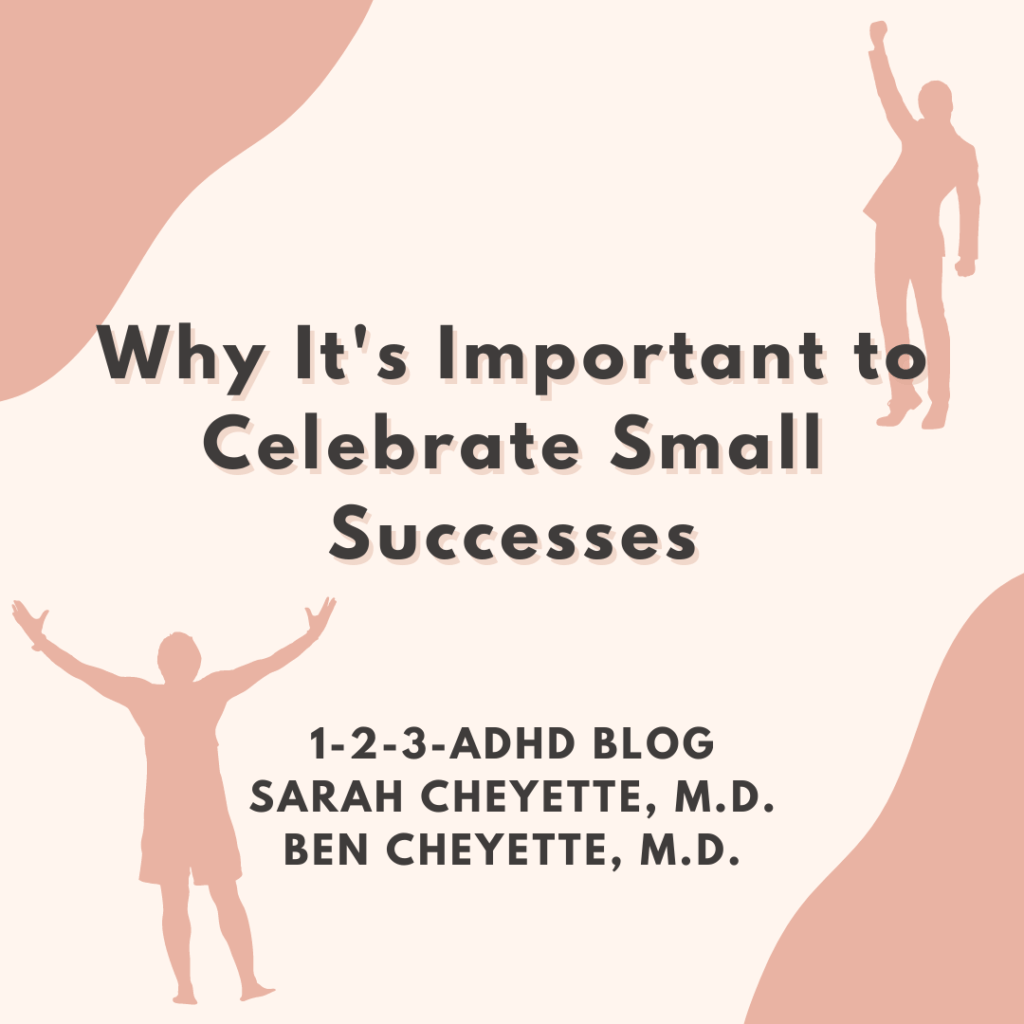 Celebrate the Small Successes Blog Post